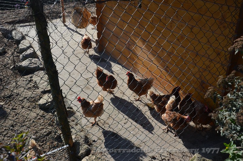 Schwarzwald 2021 - 041